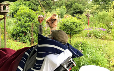 Den Geburtstag noch einmal im eigenen Garten feiern…